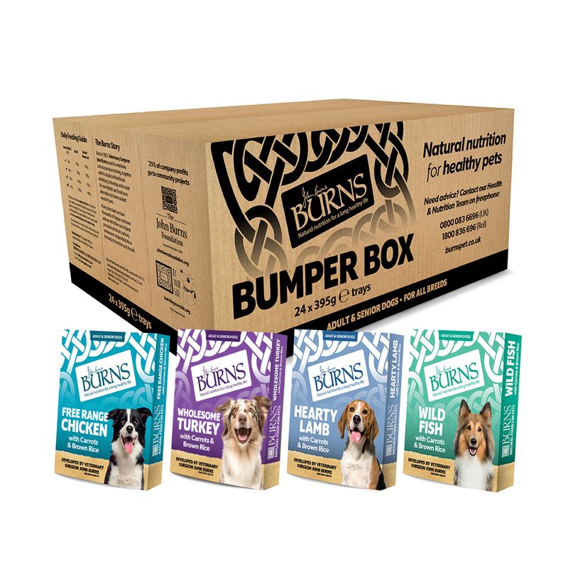 Burns Variety Box Wet Dog Food 12 x 150g || Burns || view 2