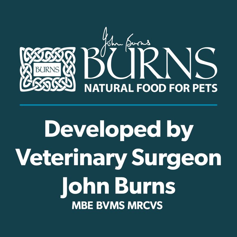 Burns Wholesome Turkey with Carrots & Brown Rice 6 x 395g || Burns || view 13