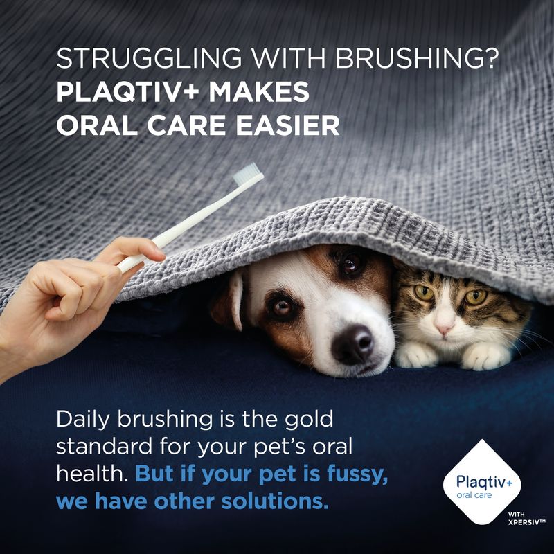 Plaqitv+ oral care makes dental hygiene easier. Daily brushing is standard, but there are alternatives for fussy pets. Plaqtiv+ logo bottom right.