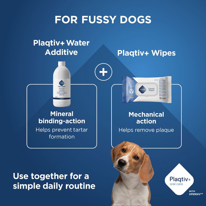 Plaqtiv+ Water Additive with mineral binding against tartar and Plaqtiv+ Wipes with mechanical action against dental plaque. Together for an easy daily routine.