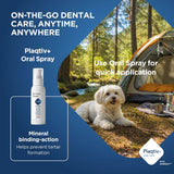Plaqitv+ Oral Spray, quick application for dental care on the go. Mineral binding helps prevent tartar formation. With dog and tent in the background.