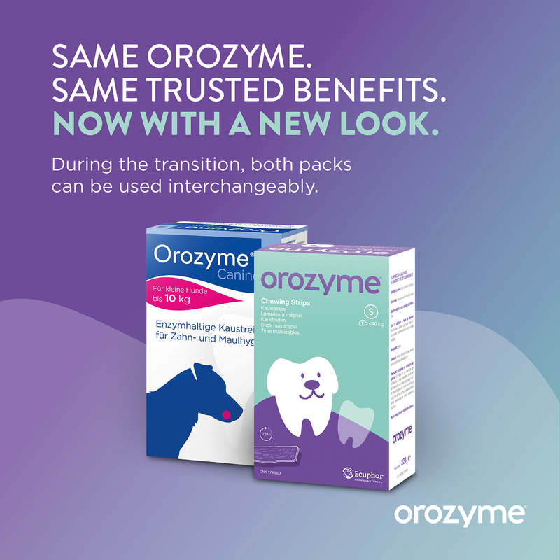 Orozyme Chews for Dogs, new and old packaging. Note: Both types of packaging may be used during the transition period.