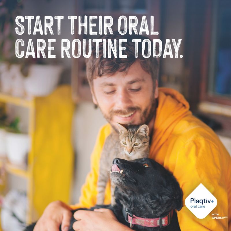 Text in image: Start their oral care routine today. Plaqtiv+ oral care with Xpersiv.