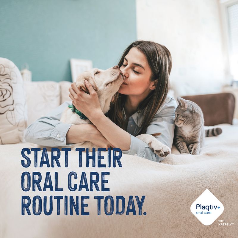 Text in image: Start their oral care routine today. Plaqtiv+ oral care with Xpersiv.