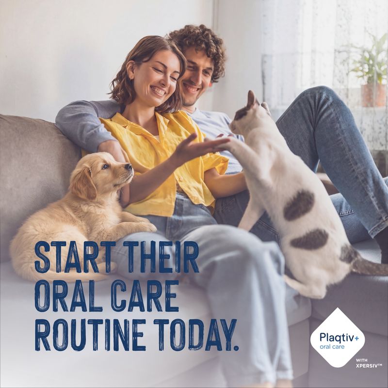 Text in image: Start their oral care routine today. Plaqtiv+ oral care with Xpersiv.