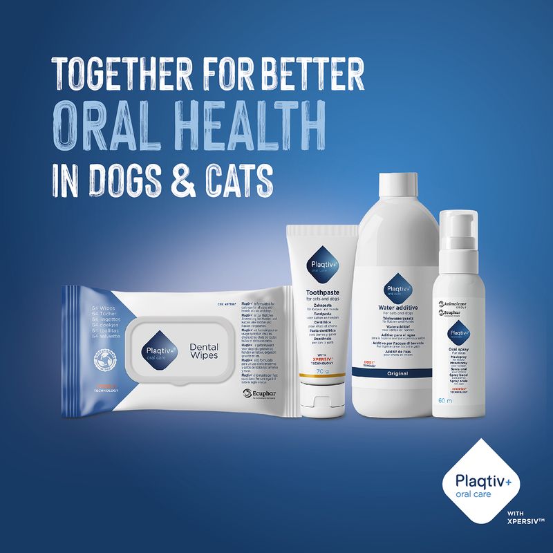 Plaqitv+ Dental Wipes, Toothpaste, Water Additive and Oral Spray for improved oral health in dogs and cats. Text: Together for better oral health in dogs & cats.