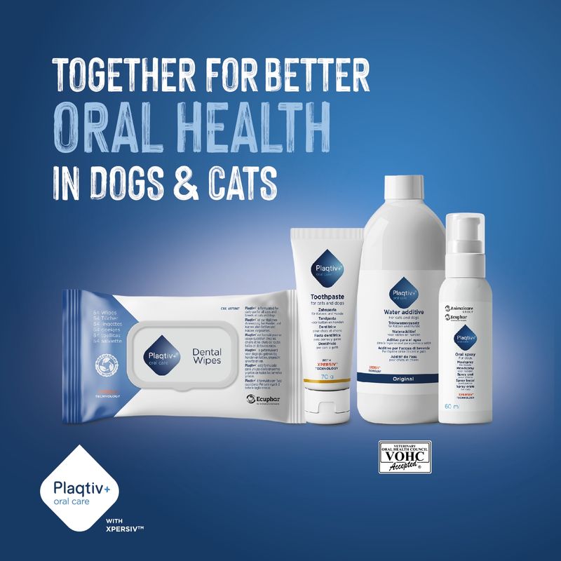 Plaqitv+ Dental Wipes, Toothpaste, Water Additive and Oral Spray for dogs and cats. Text: Together for better oral health in dogs & cats. VOHC Accepted seal visible.