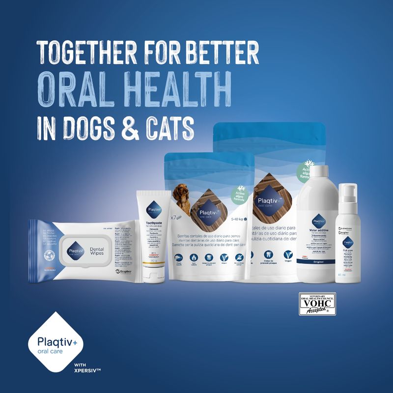 Plaqitv+ oral care products for dogs and cats. Text: Together for better oral health in dogs & cats. VOHC Accepted seal visible.