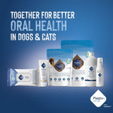 Plagtiv+ oral care products for dogs and cats. Text: Together for better oral health in dogs & cats. Various dental care products shown.