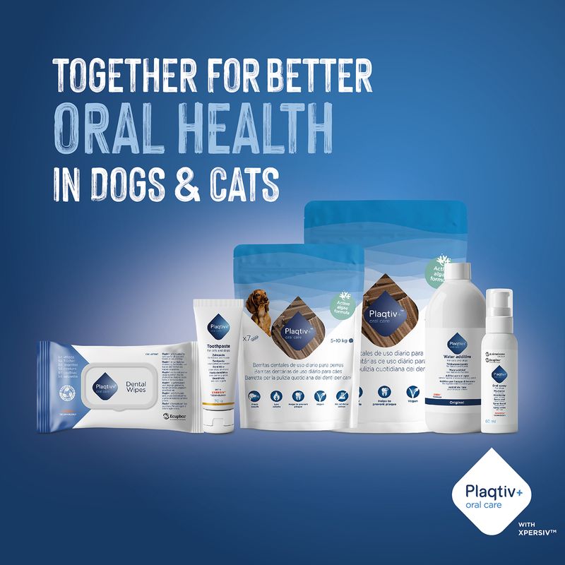 Plaqtiv+ oral care products for dogs and cats. Text: Together for better oral health in dogs & cats. Various dental care products shown.