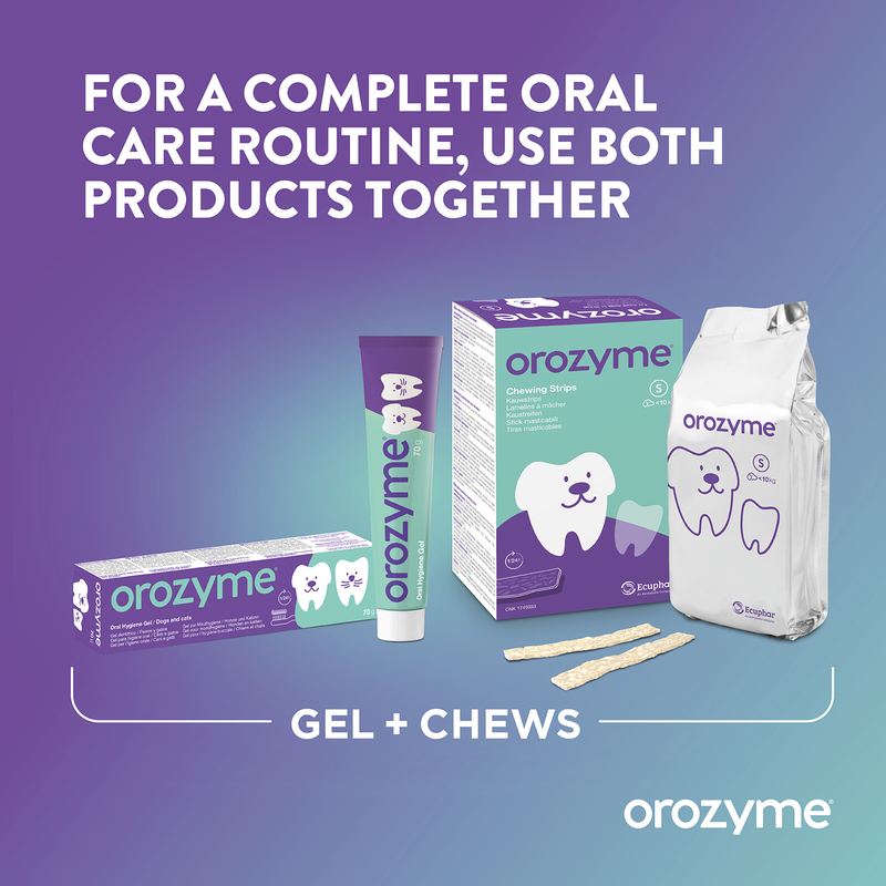 Orozyme Gel and Chews for complete oral care. Note: For comprehensive dental hygiene, use both products together.
