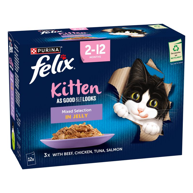 Felix Kitten As Good As It Looks || undefined || view 2