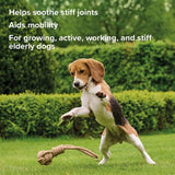 beaphar Flexifit® Optimum UC-II® Joint Supplement Chews for Dogs || beaphar || view 7