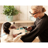 Forthglade Natural Dental Sticks for Dogs || Forthglade || view 10