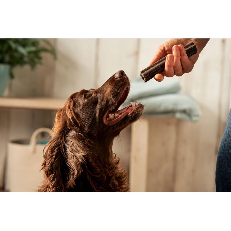 Forthglade Natural Dental Sticks for Dogs || Forthglade || view 7
