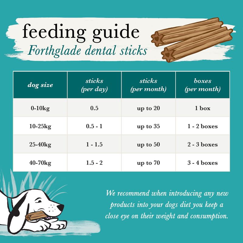 Forthglade Natural Dental Sticks for Dogs || Forthglade || view 9