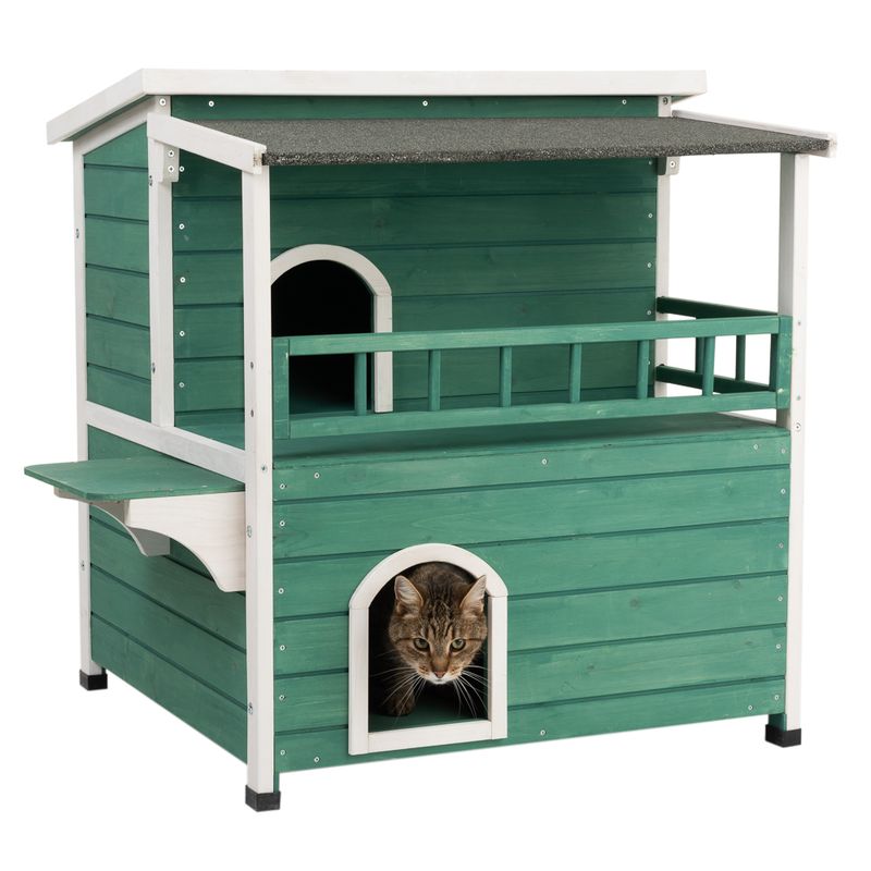 Cat House with Sunroof || undefined || view 15