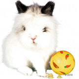 Yellow toy ball with carrot pattern and small treats next to it.