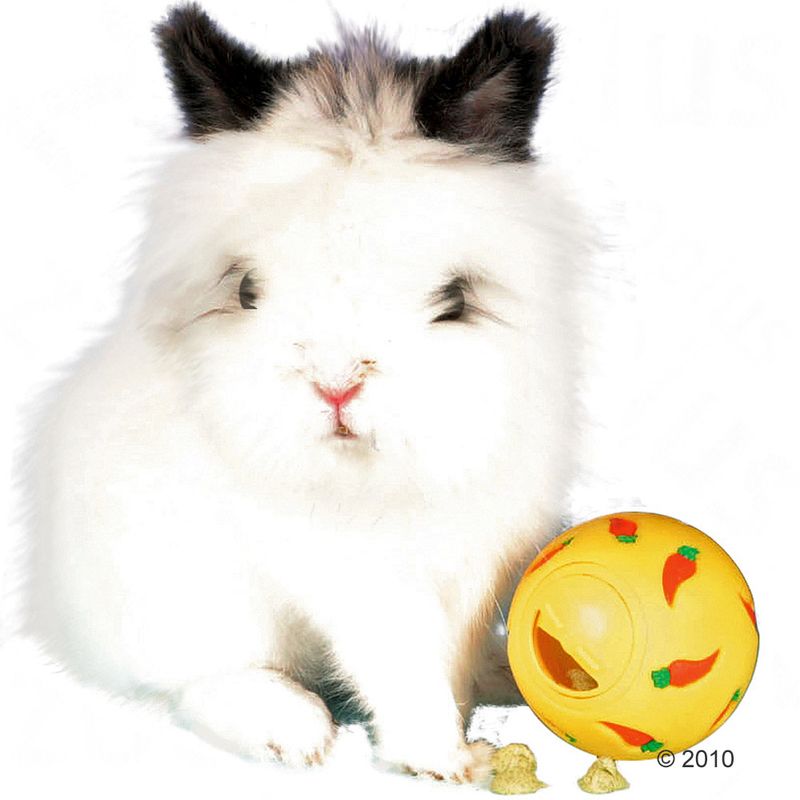 Yellow toy ball with carrot pattern and small treats next to it.