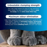 Ever Clean® Total Cover Clumping Cat Litter - Unscented