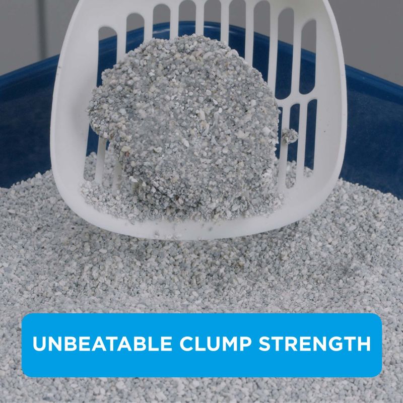 Ever Clean® Total Cover Clumping Cat Litter - Unscented