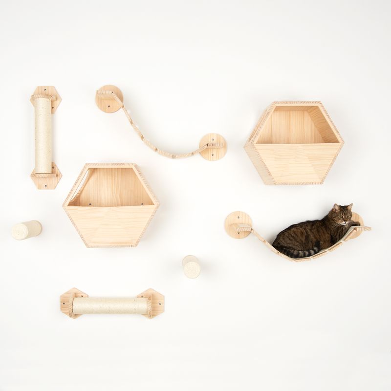 Wall-mounted wooden climbing set with hexagonal shelves, hammock and scratching posts. Cat lying in the hammock.