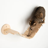 Wooden climbing wall with curved elements, mounted on the wall. Cat demonstrates use by climbing on the wooden steps.