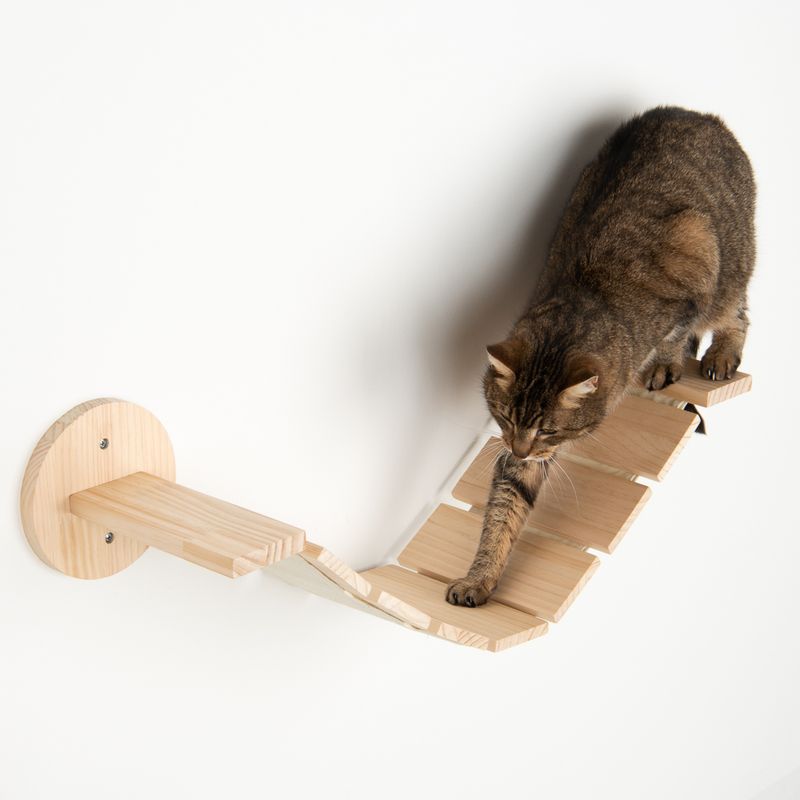 Wooden climbing wall with curved elements, mounted on the wall. Cat demonstrates use by climbing on the wooden steps.