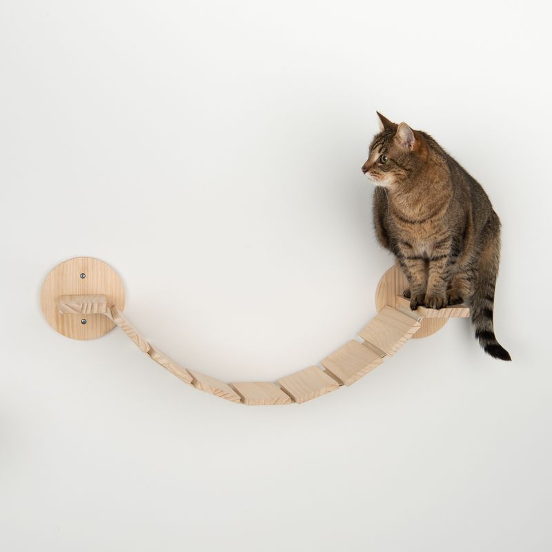 Wooden cat bridge with wall mounting, brown cat sitting on it. Bridge made of light wood with several steps.
