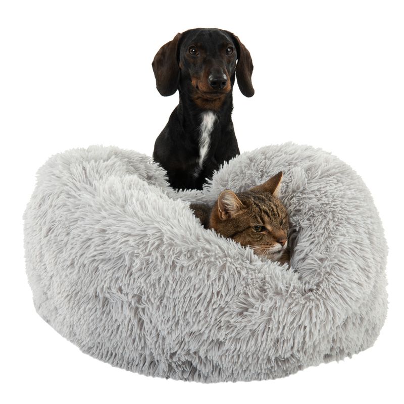 Grey, fluffy pet bed with a cat inside. Dog sits behind and looks forward.