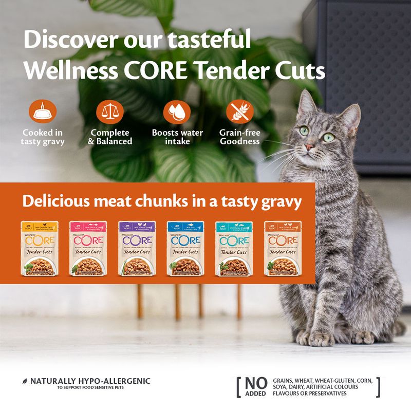 Wellness Core Tender Cuts Adult Wet Cat Food || Wellness Core || view 16