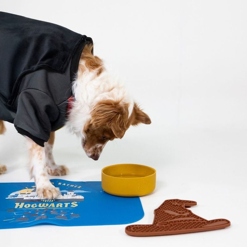 Dog with black coat next to yellow bowl, blue mat with Hogwarts motif and brown silicone mat in hat shape.