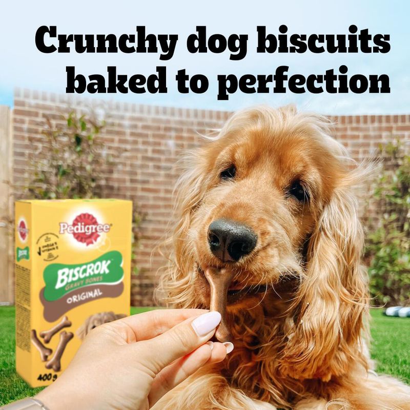 Pedigree Biscrok Gravy Bones || Pedigree || view 7