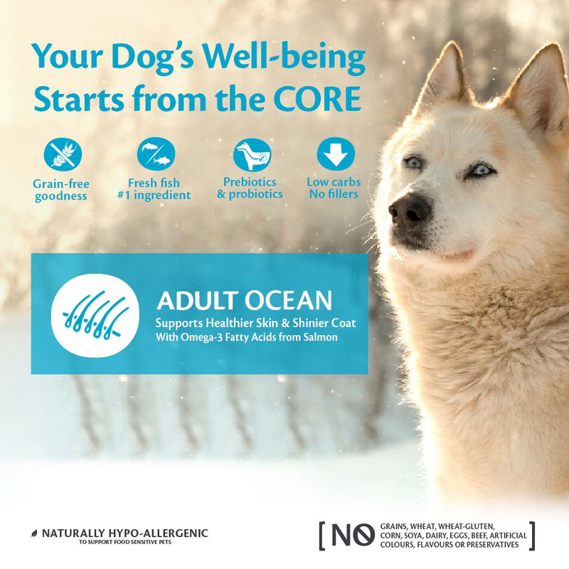 Wellness Core Medium & Large Adult Ocean Dry Dog Food || Wellness Core || view 2