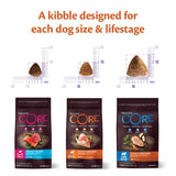 Wellness Core Medium & Large Adult Ocean Dry Dog Food || Wellness Core || view 6