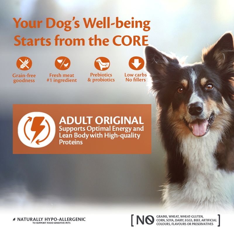 Wellness Core Medium Adult Original Dry Dog Food || Wellness Core || view 2