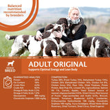 Wellness Core Medium Adult Original Dry Dog Food || Wellness Core || view 3