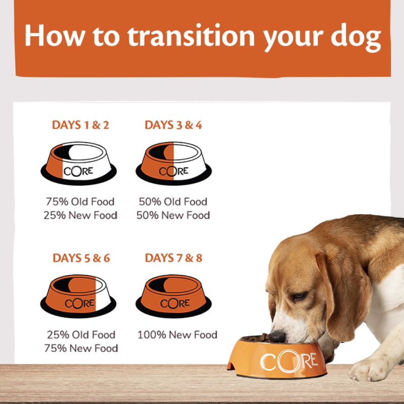 Wellness Core Medium & Large Adult Low Fat Dry Dog Food || Wellness Core || view 5