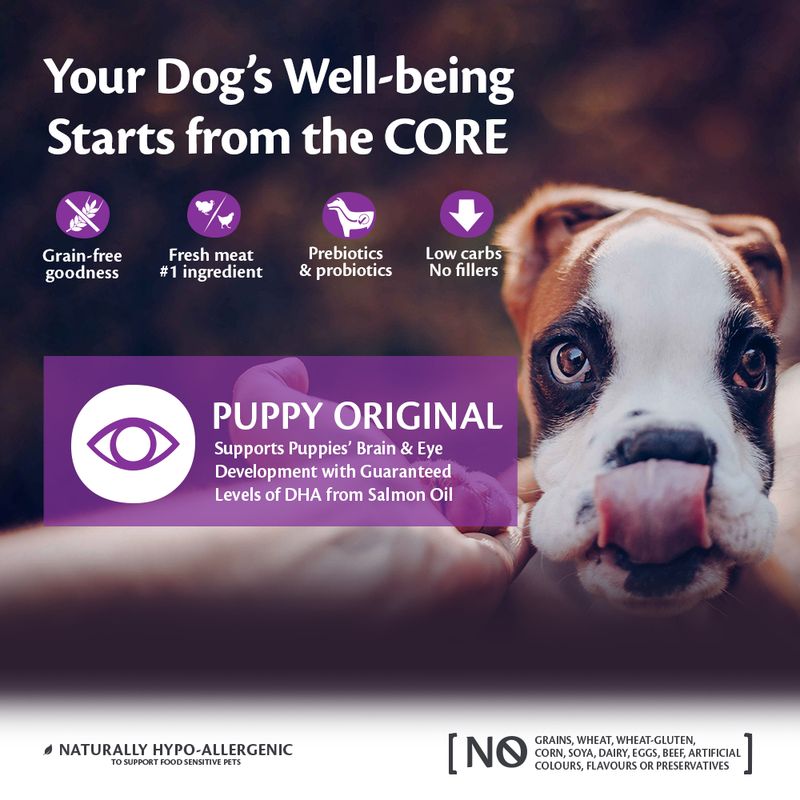 Wellness Core Small & Medium Puppy Original Dry Dog Food || Wellness Core || view 2