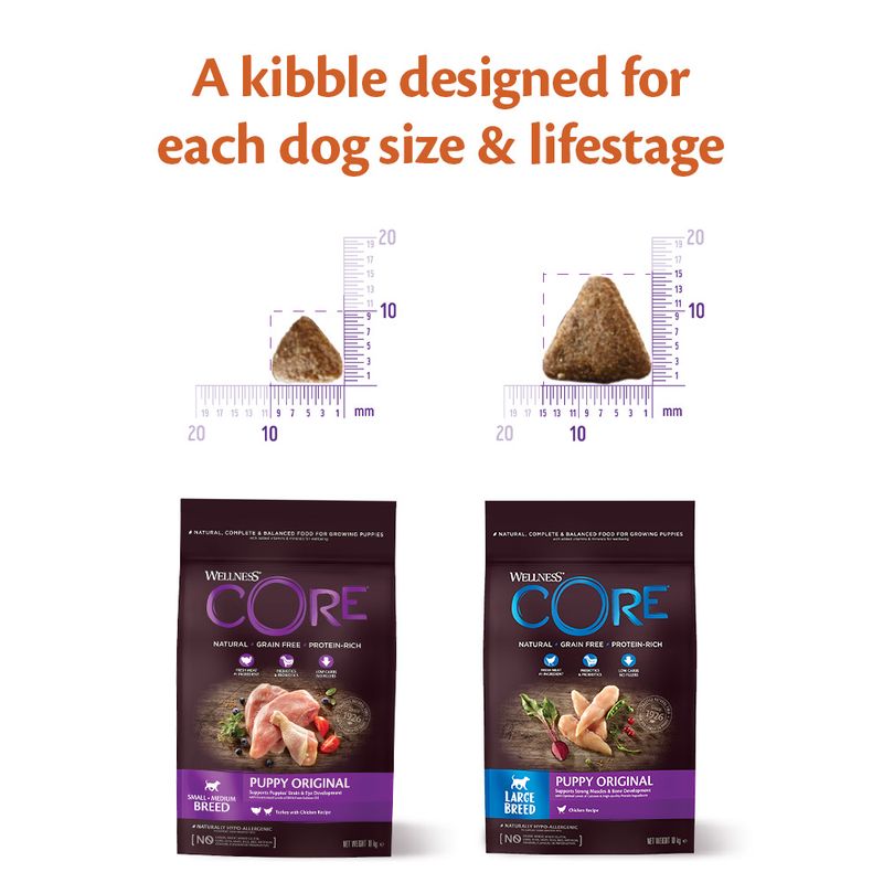 Wellness Core Small & Medium Puppy Original Dry Dog Food || Wellness Core || view 6