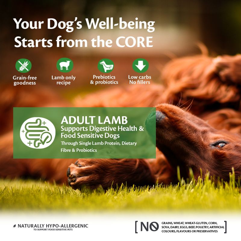 Wellness Core All Breeds Adult Lamb Dry Dog Food || Wellness Core || view 2