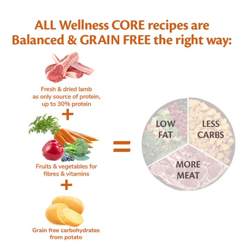 Wellness Core All Breeds Adult Lamb Dry Dog Food || Wellness Core || view 4