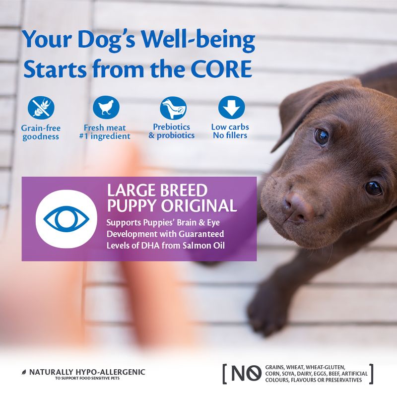 Wellness Core Large Puppy Original Dry Dog Food || Wellness Core || view 2