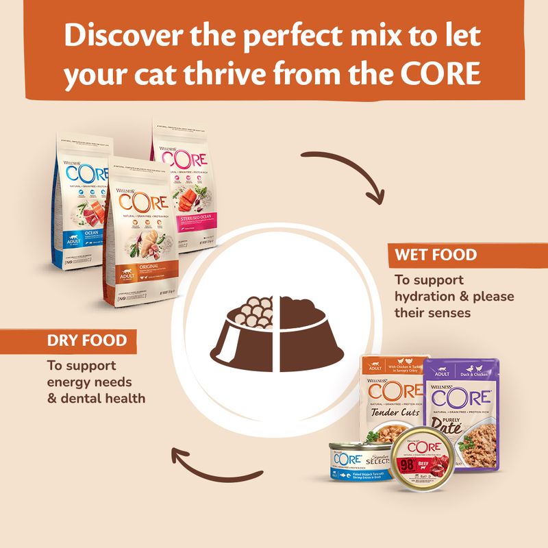 Wellness Core Purely Paté Wet Cat Food || Wellness Core || view 18