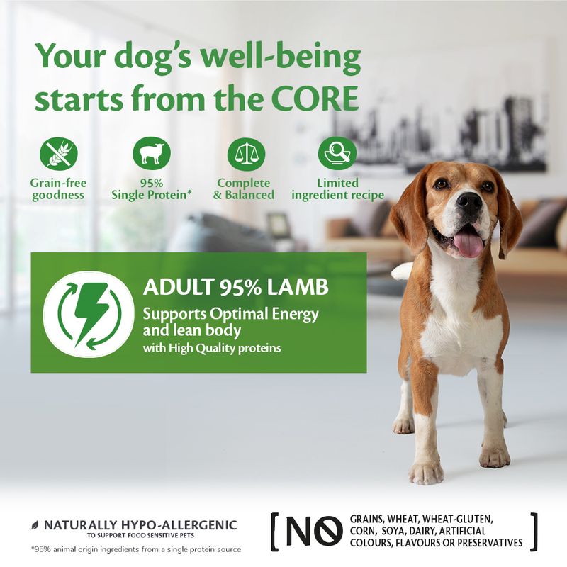 Wellness Core Adult 95% Single Protein Lamb & Pumpkin Wet Dog Food || Wellness Core || view 3