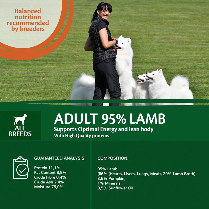 Wellness Core Adult 95% Single Protein Lamb & Pumpkin Wet Dog Food || Wellness Core || view 5