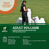 Wellness Core Adult 95% Single Protein Lamb & Pumpkin Wet Dog Food || Wellness Core || view 5