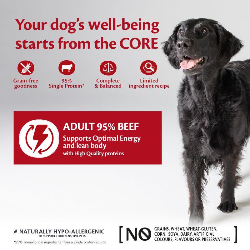 Wellness Core Adult 95% Single Protein Beef & Broccoli Wet Dog Food || Wellness Core || view 6