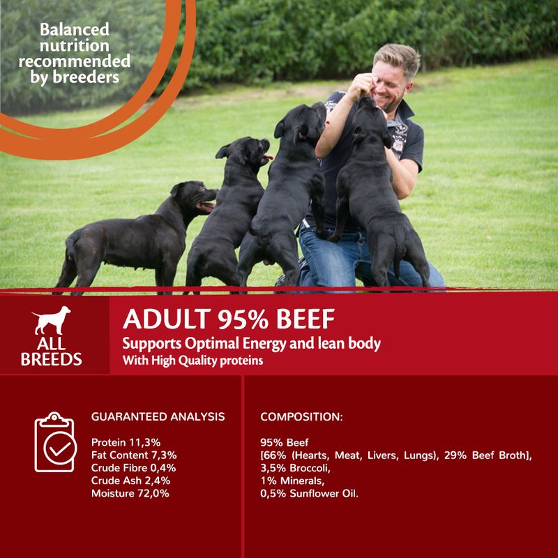 Wellness Core Adult 95% Single Protein Beef & Broccoli Wet Dog Food || Wellness Core || view 5