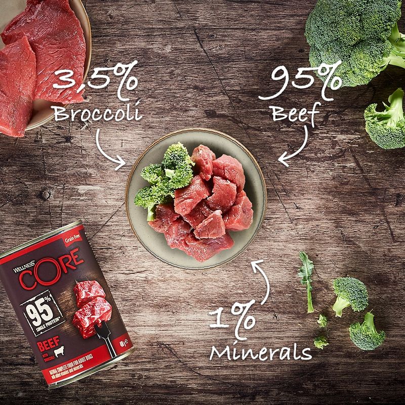 Wellness Core Adult 95% Single Protein Beef & Broccoli Wet Dog Food || Wellness Core || view 3
